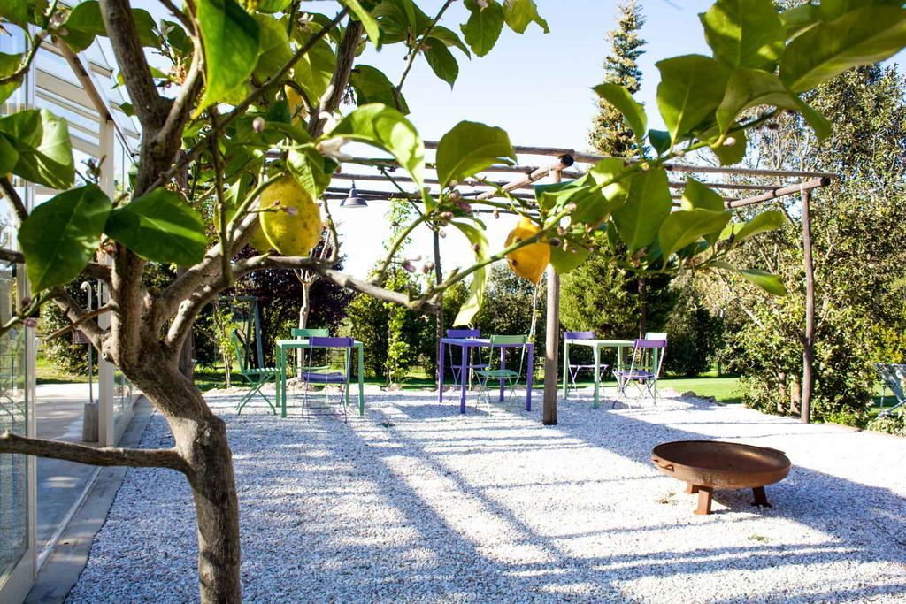 Agriturismo Humile Кьянчано-Терме Экстерьер фото